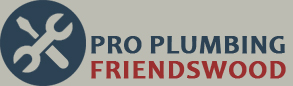 pro plumbing friendswood